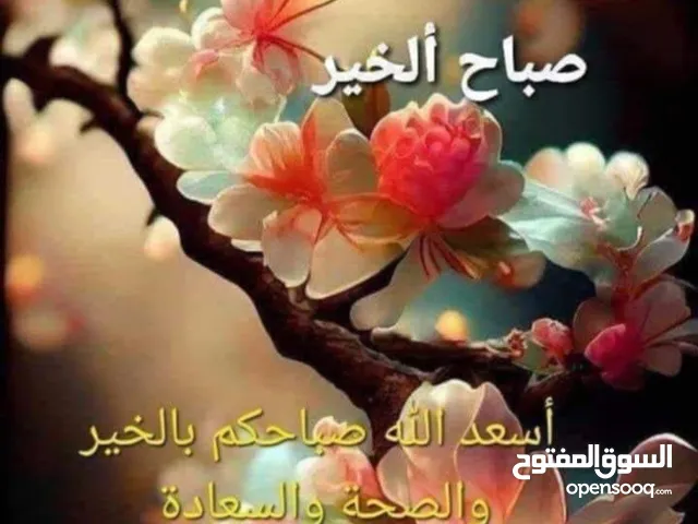 Residential Land for Sale in Ramallah and Al-Bireh Kafr Ni'ma