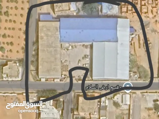 تلاتة هناقر الإيجار
