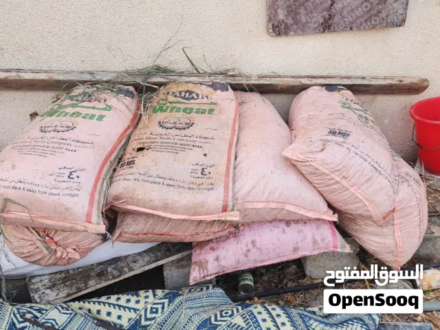 متوفر خبز يابس وتمر نفيعه لاغنام