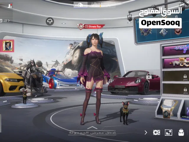 Pubg Accounts and Characters for Sale in Muharraq