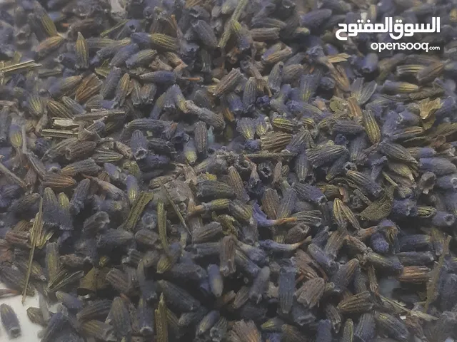 lavander buds best quality