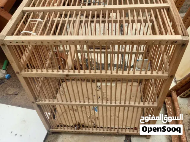 اقفاص طيور