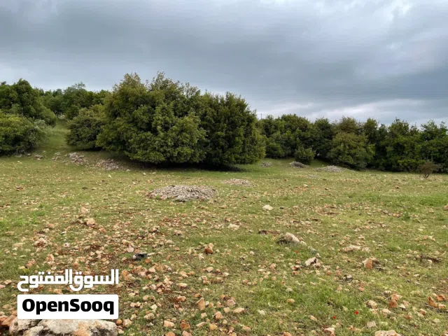 Mixed Use Land for Sale in Ajloun Other