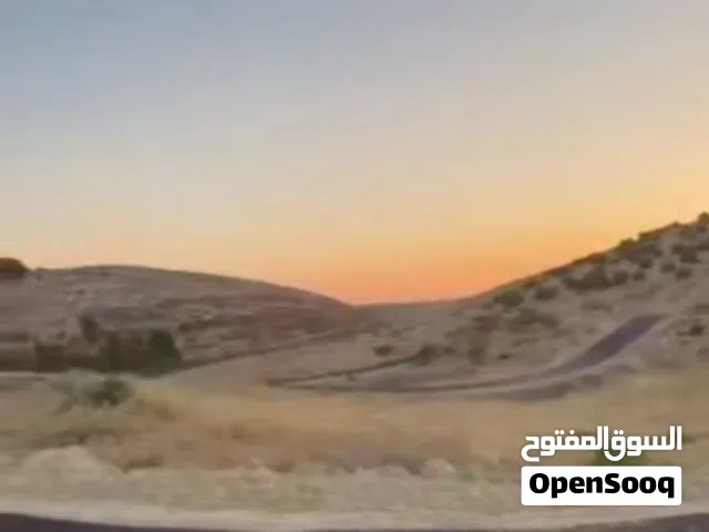قطعة ارض سكن ج موقع مميز