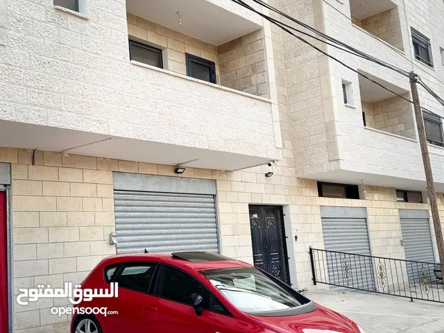 سيات كوبرا 2009