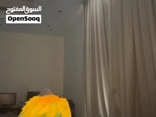 صن كنيور      ًًًًًًًًًٍ