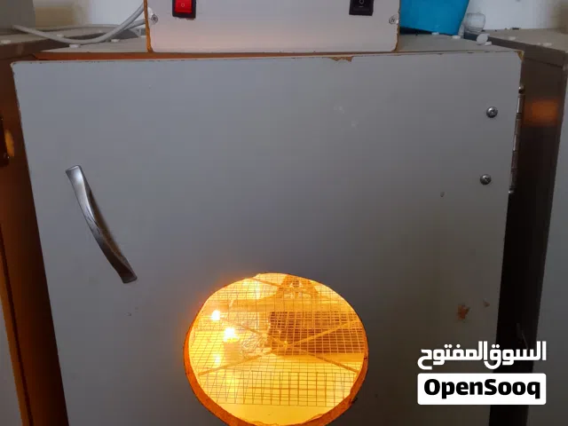 حضانات بيض للبيع