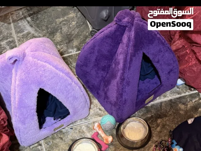 بيت قطط و كلاب