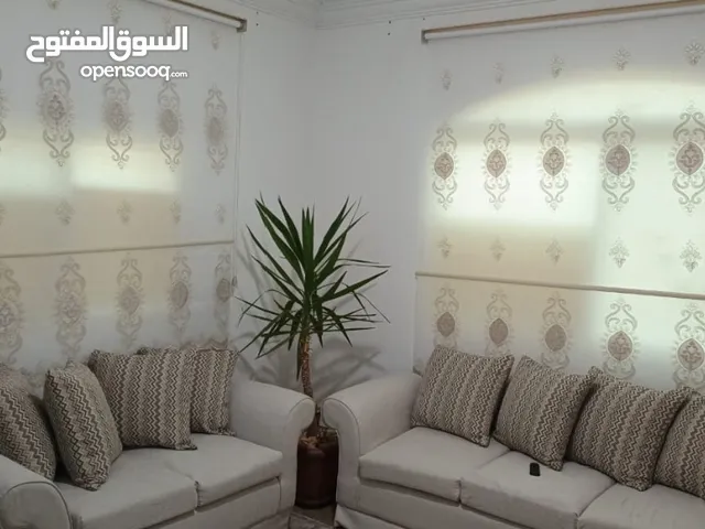 برادي زيبرا تركي فخمات