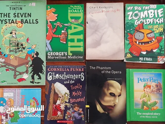 Bundle of Tintin Books  and Story  Books