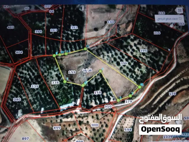 Farm Land for Sale in Ajloun Kuforanja