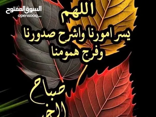 للبيع حلاق رجالي بالمهبوله