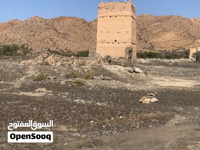 للبيع أرض زراعية في بدبد