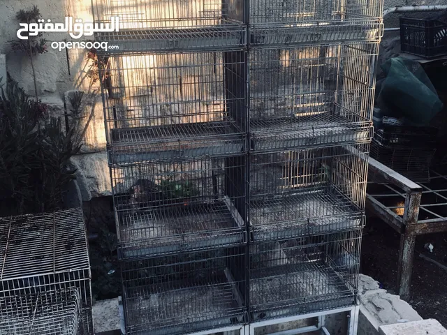 اقفاص وبينت