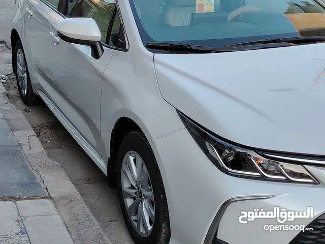 New Toyota Corolla in Baghdad