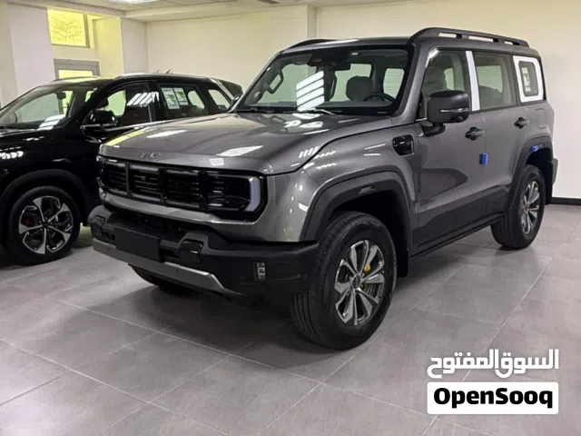 2026 بايك الفئة BJ BJ40