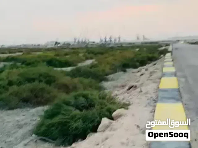Farm Land for Sale in Basra Shatt Al-Arab