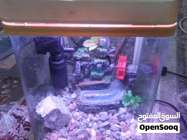 حوض سمك للبيع