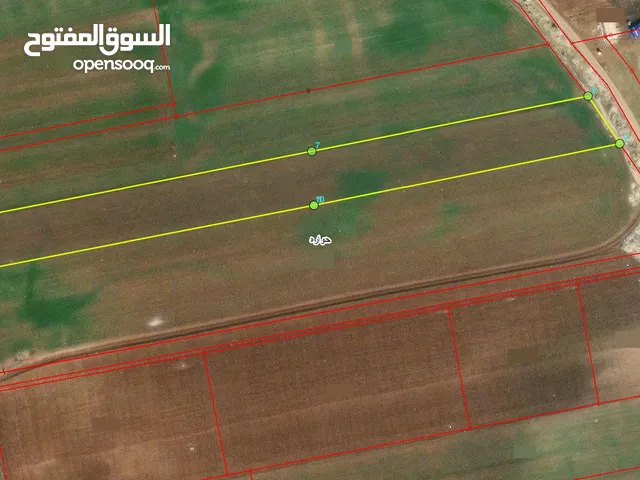Farm Land for Sale in Irbid Huwwarah