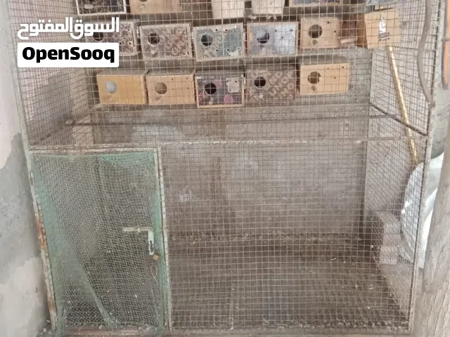 للبيع قصف مع الصناديق وا الببيع صناديق
