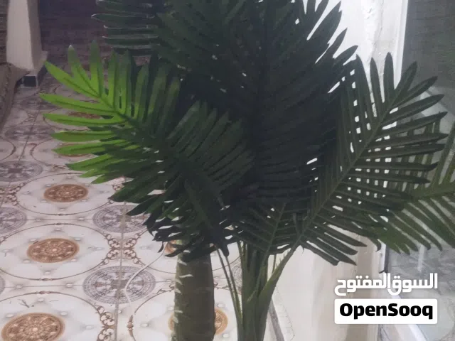 شجاره نخل صناعي  جديده لليع