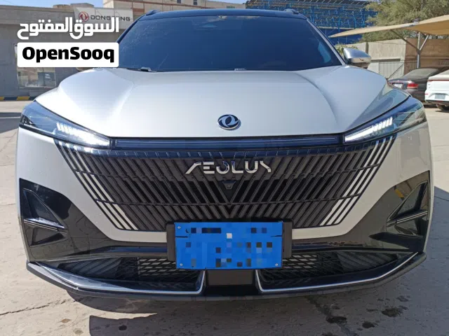 2025 دونج فينج اخرى