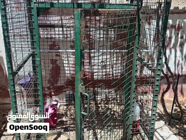 قفص شبك او قنون عدد2 الارتفاع 2 متر العرض 110 متر العمق 150 متر ونصف حديد ثقيل شبه جديد