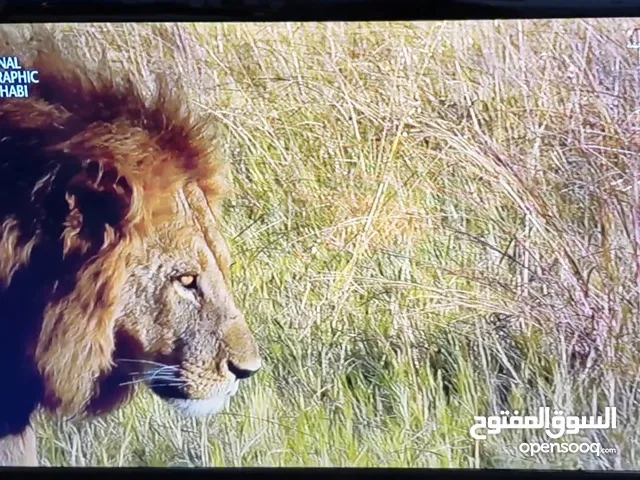 ال جي كوري اصلي بدون تصليح بدون فتح بدون عطل ضمان حجم 28 تواصل على الواتساب فقط