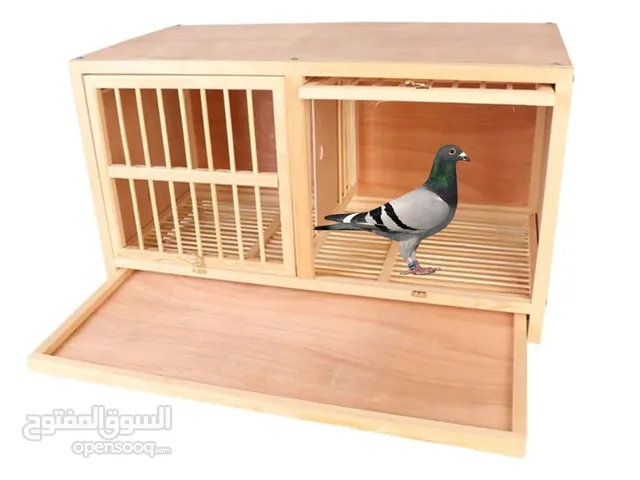 Pigeon cage. محاكر زاجل