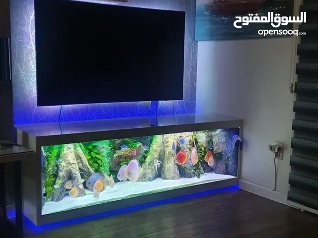مطلوب حوض سمك تعز المدينه