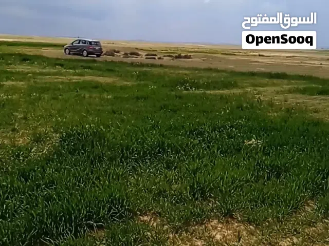 ا رض في القنيطرة منطقة مزارع قريبه من مزارع الكابيتال تبعد عن الشارع
