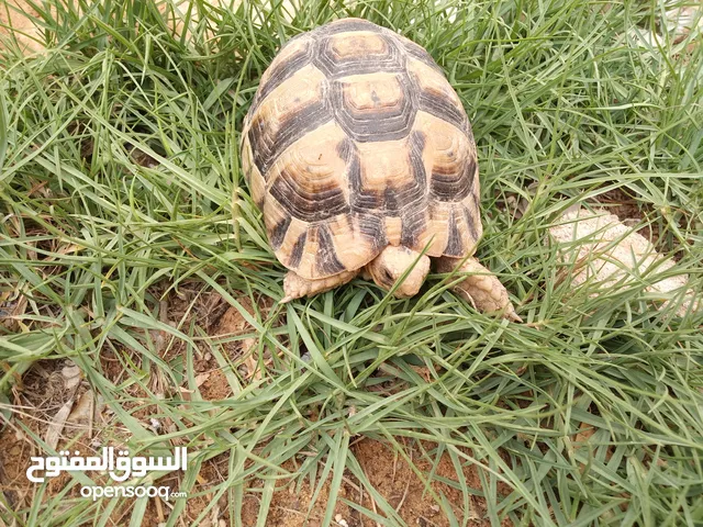 مكان بالقرب من سوق التواصل
