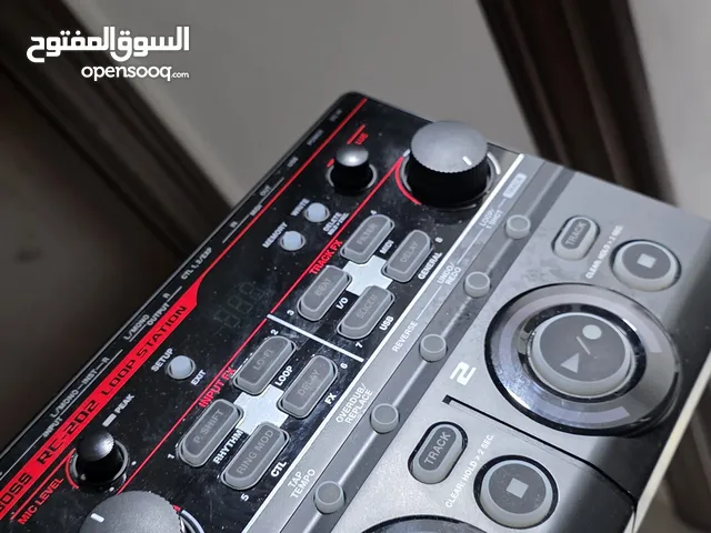 BOSS RC 202