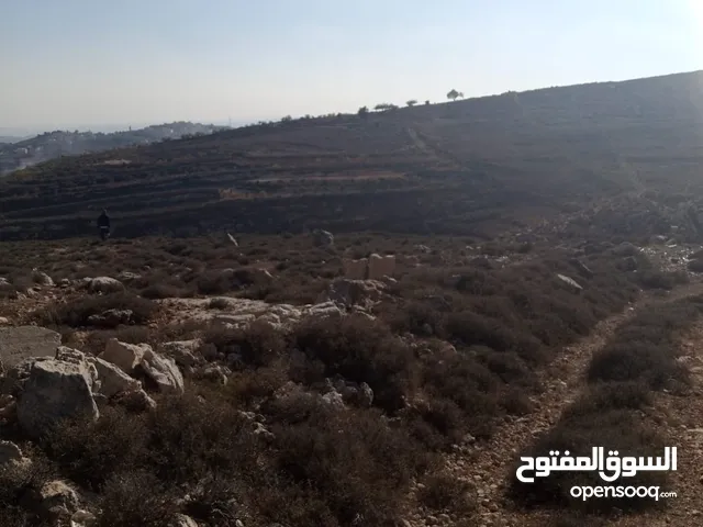 ارض للبيع في دير جرير