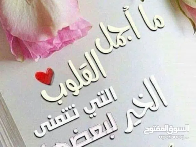 75 m2 1 Bedroom Apartments for Sale in Tripoli Qoubbe