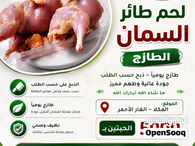 دجاج سمان طازج