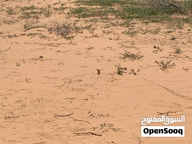 ارض للبيع.الكازيرما الجديدة