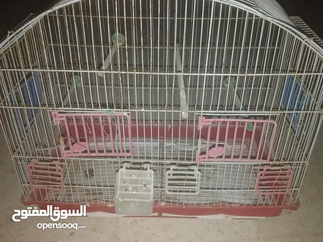 قفص طيور وعصافبر