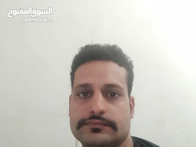 محمد عادل عبدالحميد