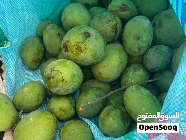 مانجو اخضر حامض جدا للبيع