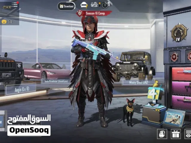 Pubg Accounts and Characters for Sale in Abu Dhabi