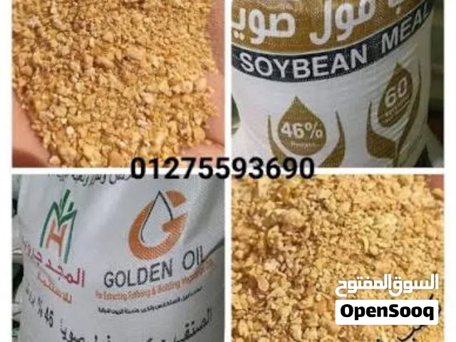 فول الصويا رايد