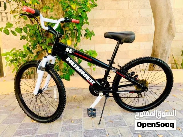 24 Branded MTB