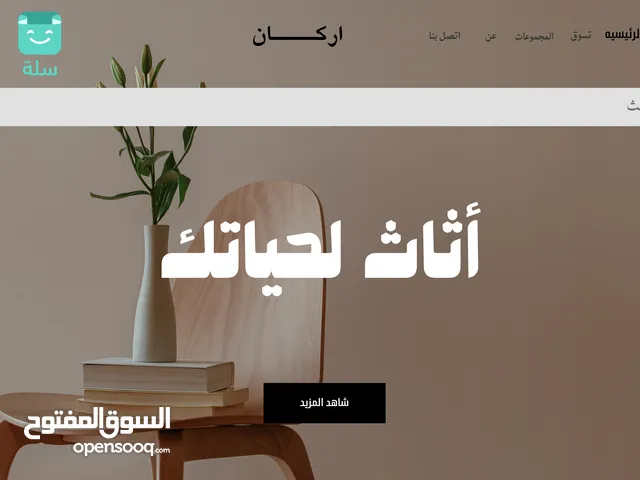 تصميم وانشاء متجر الكتروني بسعر مخفض علي منصة ( زد او سلة )