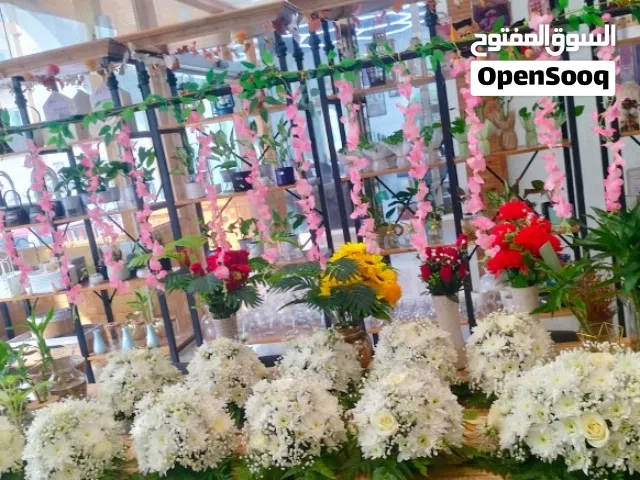 محل متكامل لبيع الورود والنباتات الداخليه بالقرم