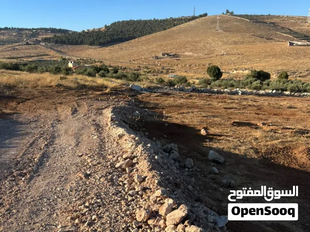 Mixed Use Land for Sale in Jerash Tal Al-Rumman