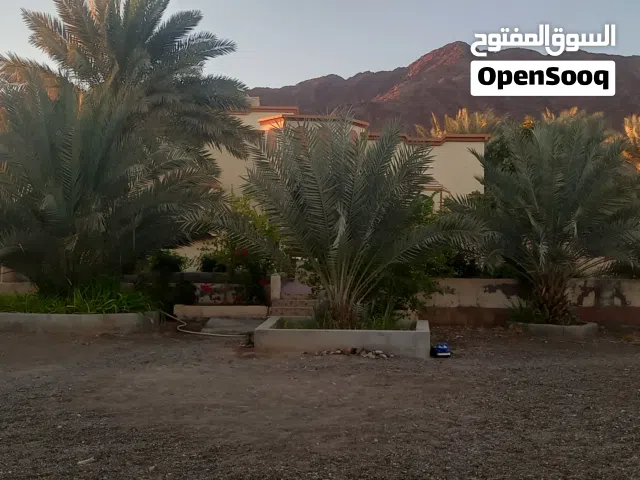 بيت ومنزل مطلوب فيه 55 ألف