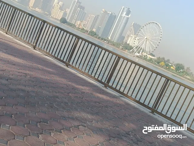 فاطمة صالح