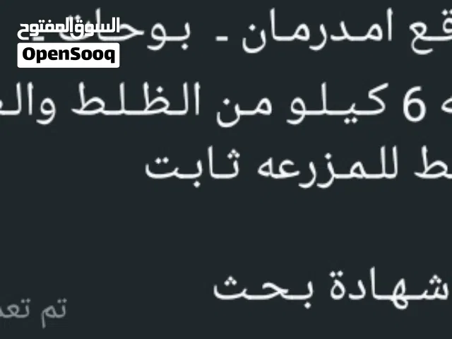 مرزعة في امدرمان