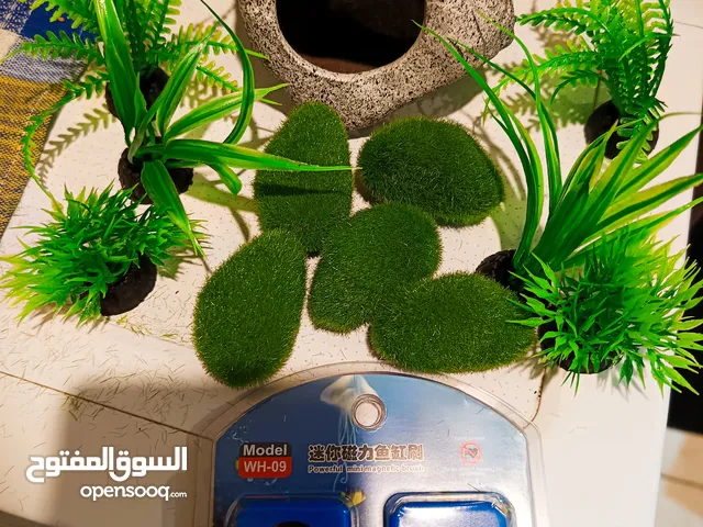 Betta/Fighter Fish Decorations Nano Tank Aquarium